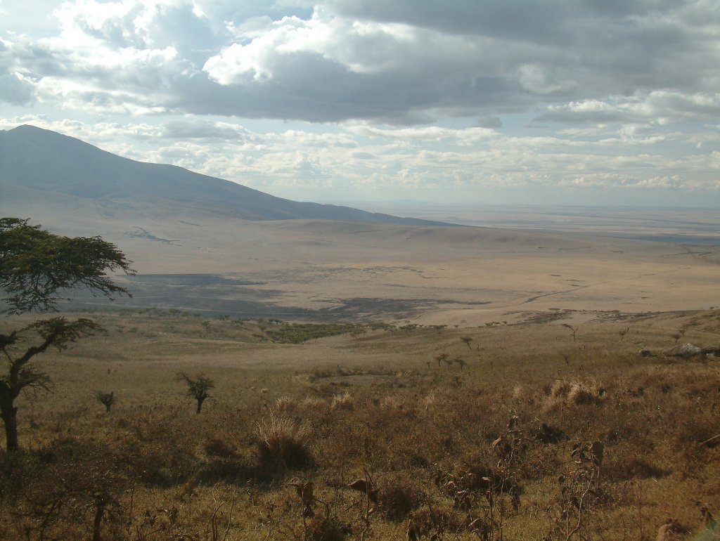 01-View of the Serengeti from the Ngorongoro crater.jpg - View of the Serengeti from the Ngorongoro crater